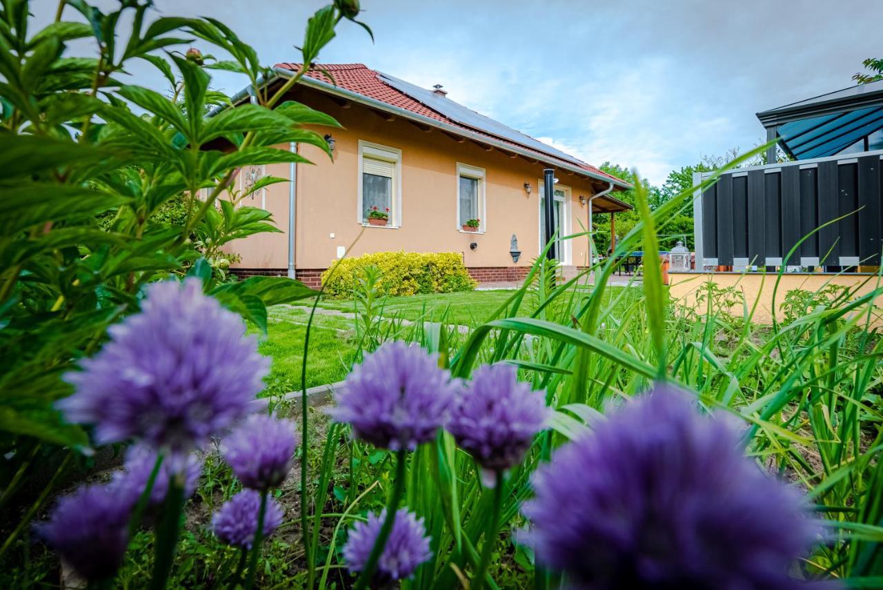 Sunny Garden Pihenohaz Villa Siofok Ngoại thất bức ảnh